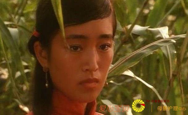 �������ţ�ԭ����Щ���ǣ�ȫ�����˹��������ѣ������й��̽�