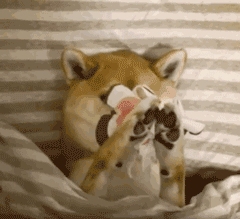 ����ҲҪ�����ַ��������ٰ���Ļ���Ʒ���ǰ�Ϲ��