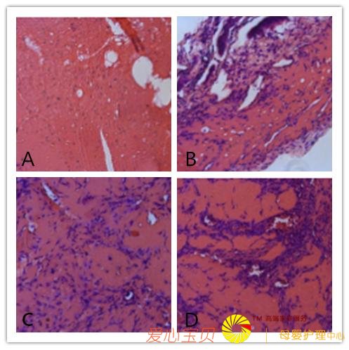 �������з������Ƽ�����ҽѧ���ݵȷ���ӵ�о޴�Ǳ��