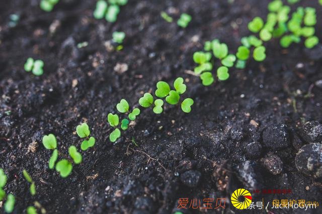 ����֪ʶ����������ڶ�ʱ���ڴﵽĿ�����ء�ֻ��6���򵥲��衱