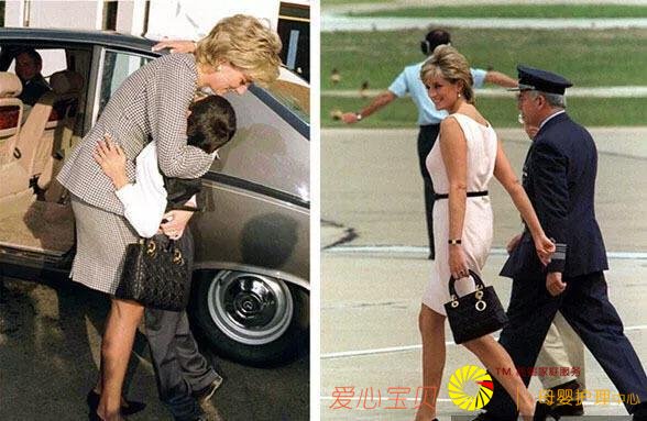 ���Ÿ�������ǳ�����ݳ�Ʒ��Ϊ��֪�����ܣ�