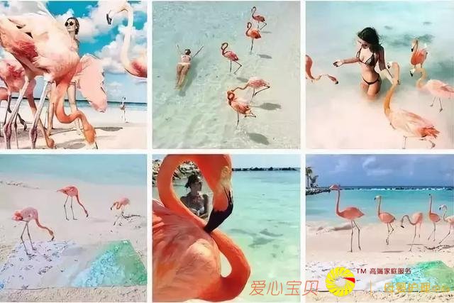 ������ô�����������Σ����ܲ�����������˼��������Ȧ