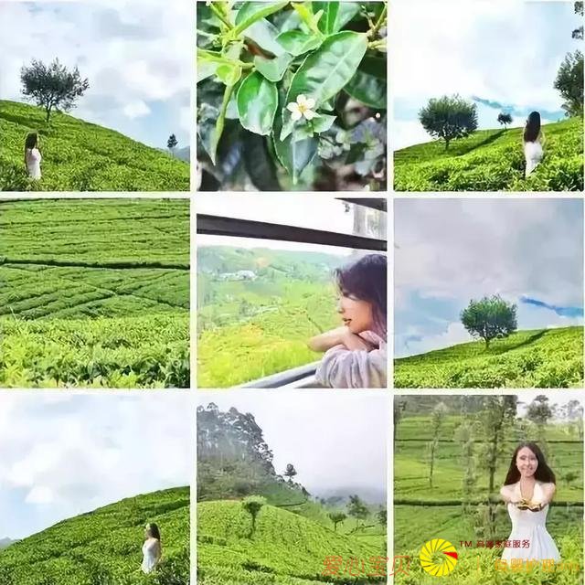 ������ô�����������Σ����ܲ�����������˼��������Ȧ