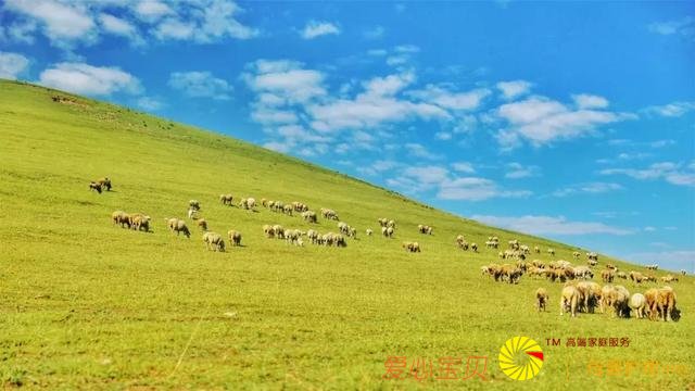 ��������һ�����У�û�кܺã�û��̫�㣡