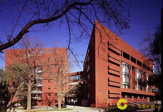 �����ˣ��ҵ�ѧУ��2018�人�п�ƽ����ǰ30ǿ��¯����ţ���ϰ�