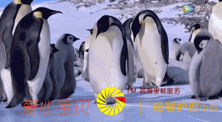 63���������������ˣ�����ֽ���ķ���̫������ʵ�ڿ�����ȥ