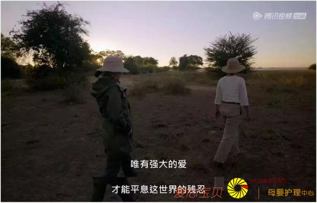 ����9.2��һ�������Σ����������и߼��Ĺ������գ�