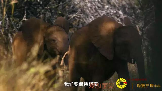 ����9.2��һ�������Σ����������и߼��Ĺ������գ�