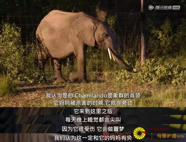 ����9.2��һ�������Σ����������и߼��Ĺ������գ�