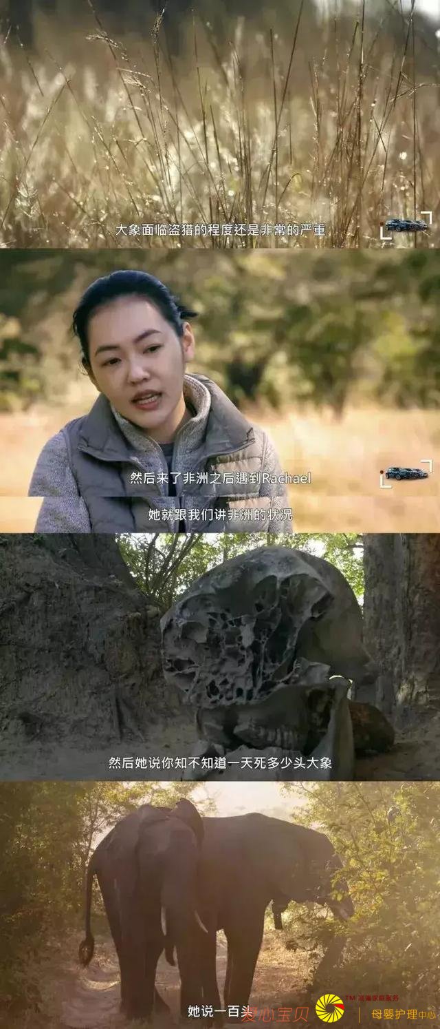 ����9.2��һ�������Σ����������и߼��Ĺ������գ�