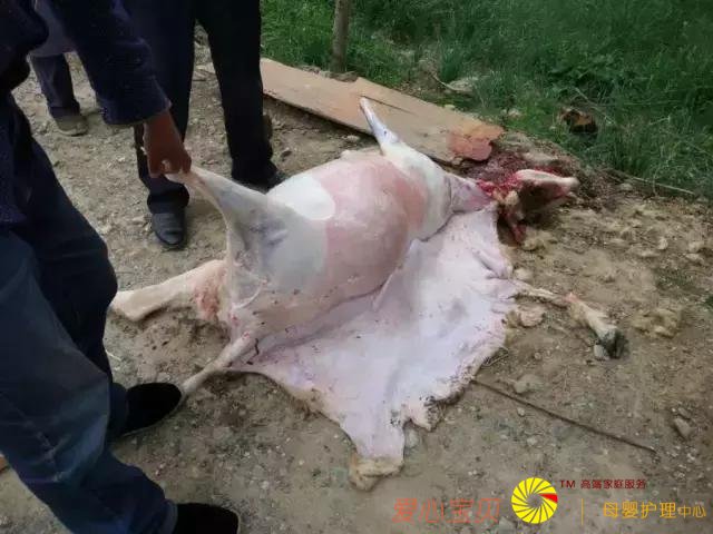 ��������ʳ�����ж�óԣ���һ��������֪��