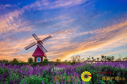 �ӱ�ʡʯ��ׯ��¹Ȫ���Ρ����������ྰ�����ܡ����Լ�·����Ϣ��