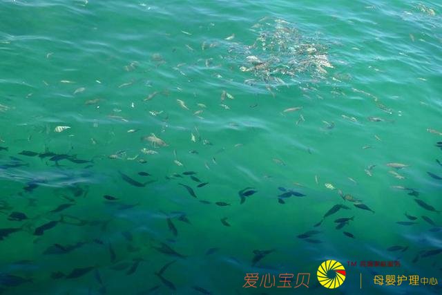 һ���㲻�����е�����