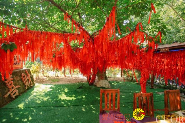 һ���㲻�����е�����