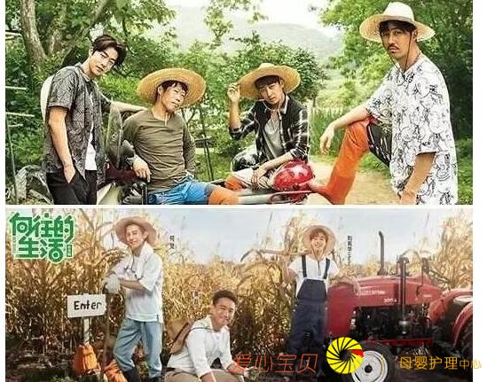 �����������ڰ��һ�֣����������ճ�Ϯ�����������գ�