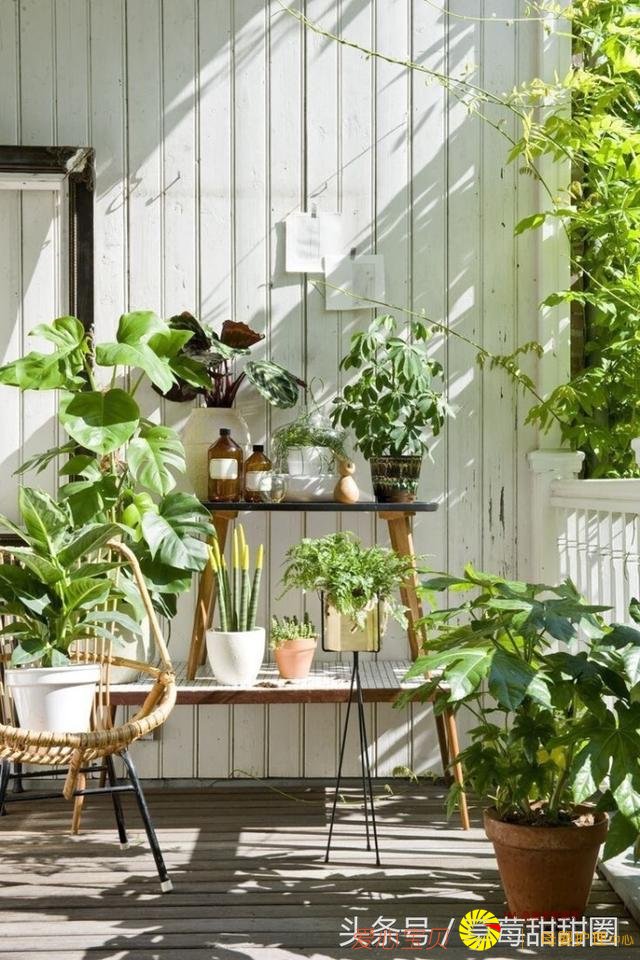 �Ҿ� �� ����