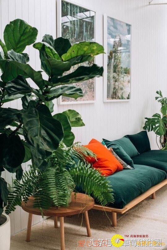 �Ҿ� �� ����