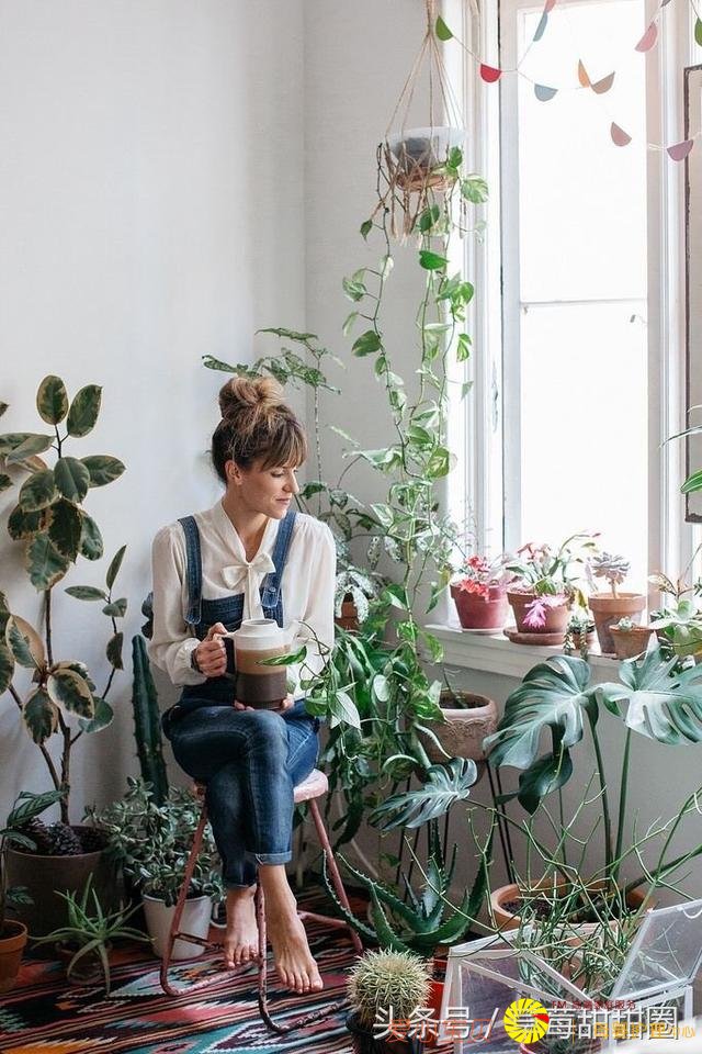 �Ҿ� �� ����