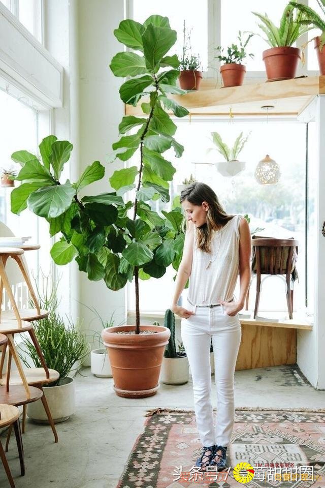 �Ҿ� �� ����