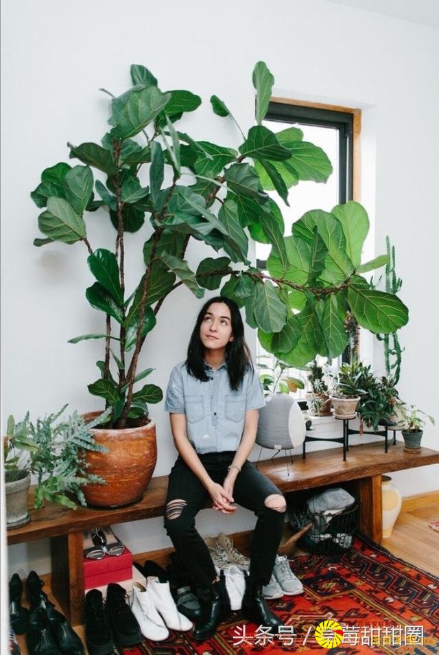 �Ҿ� �� ����