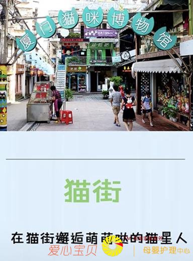 �������α����İ˼��£���һ�������ź���