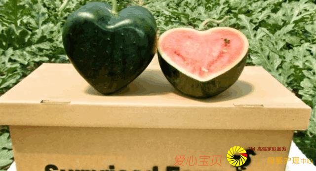 ���⣺��Щ��ʳ�й��˿϶��Բ����й�Сѧ�����������