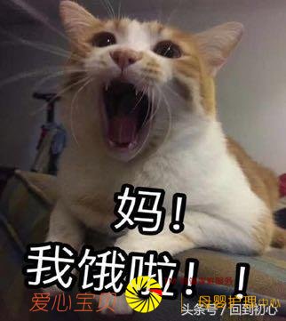 ��Ӥ�ٿƣ�����µ��ܺ�����ʳ����Ч�ķ���