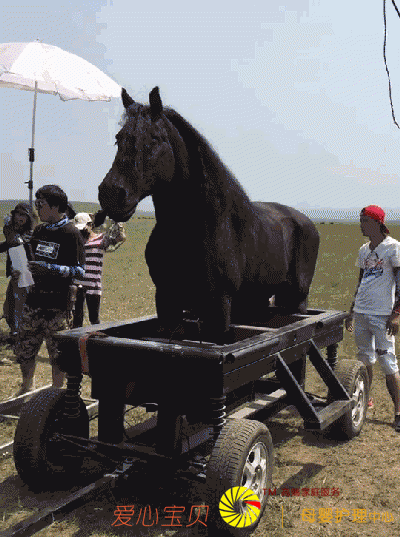 Ӱ�Ӿ�����Щ��Ʒԭ�����ǵ��ߣ�����֮��Ե���ʦ�ķ��ڷ���