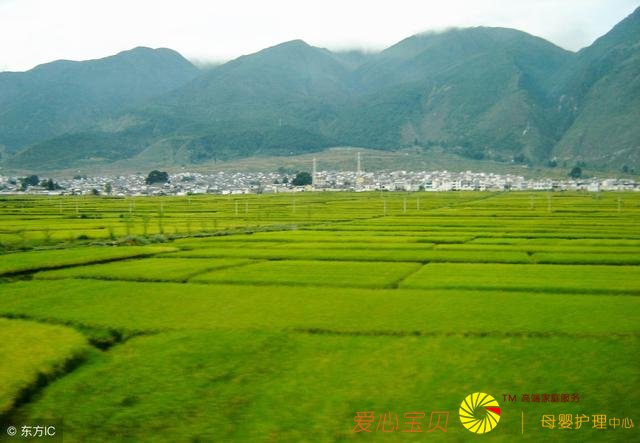 2018�����ʮ�����ξ����Ƽ������αؿ���