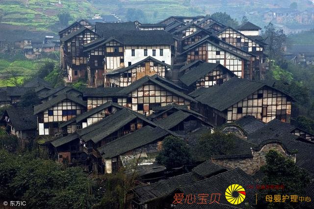 2018�����ʮ�����ξ����Ƽ������αؿ���