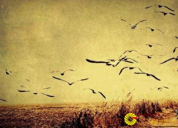 ��ĸ������Ϊ�ҳ�ʮ��ȥ�ձ���ѧ��֮���Լ����п�����