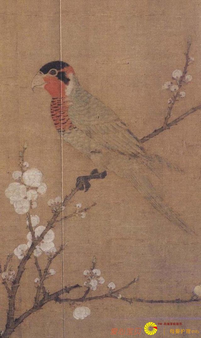 �λ�����٥������Ʒ����ɫ����ͼ����������ʿ�������ݲأ�