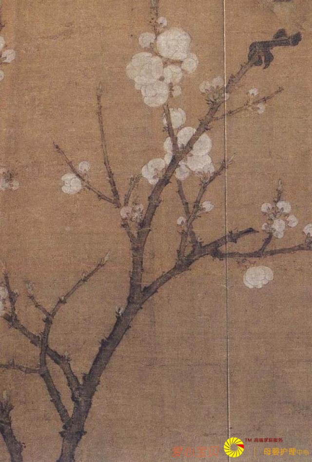 �λ�����٥������Ʒ����ɫ����ͼ����������ʿ�������ݲأ�