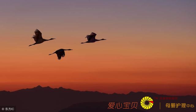 ��Щ�Ŵ������ִ���δ��֪�� ����һλ�������߶ϳ�