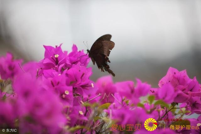 ��Щ�Ŵ������ִ���δ��֪�� ����һλ�������߶ϳ�