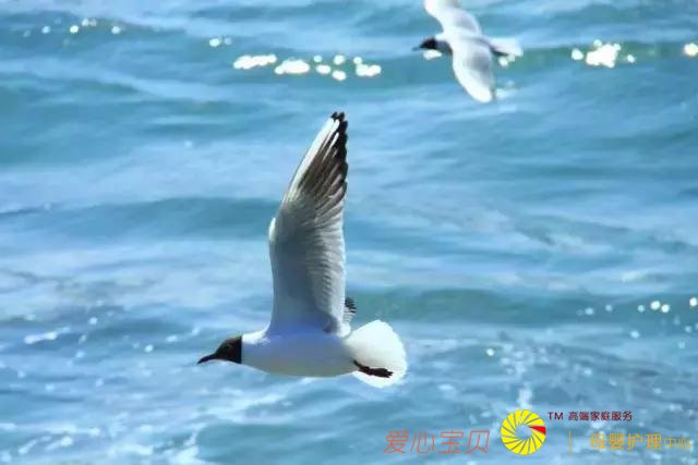 �ൺ���ι��ԣ��ԳԹ�䣬�����е��ൺ5���Σ�����һƪ�͹��ˣ�