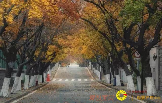 �ൺ���ι��ԣ��ԳԹ�䣬�����е��ൺ5���Σ�����һƪ�͹��ˣ�