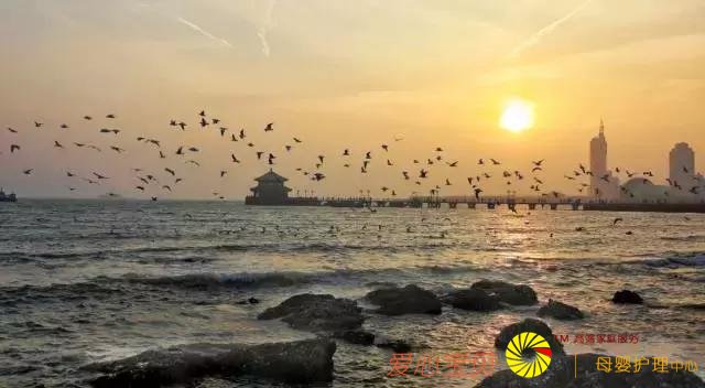 �ൺ���ι��ԣ��ԳԹ�䣬�����е��ൺ5���Σ�����һƪ�͹��ˣ�