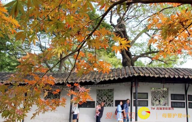 ����������ǡ�һ���Ρ����ɡ�һ�չ������������������