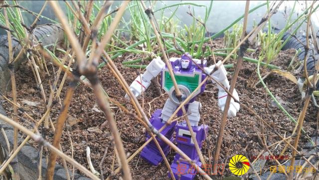 �ض������־��������ּҽ���ѧ������