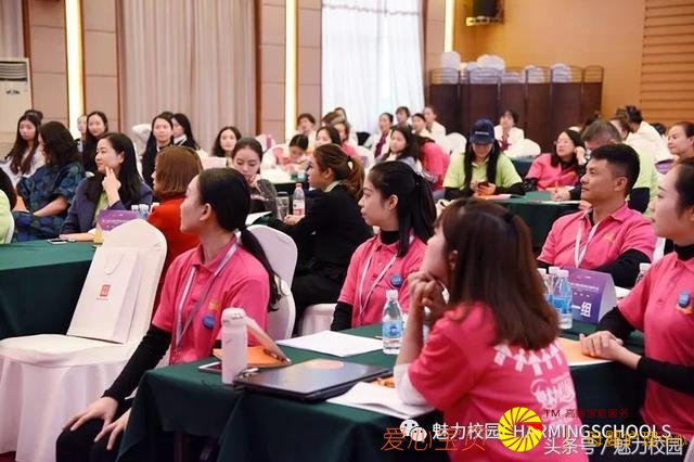 �����赸������ۣ��ٶ��赸�������赸��ѵѧУ�����