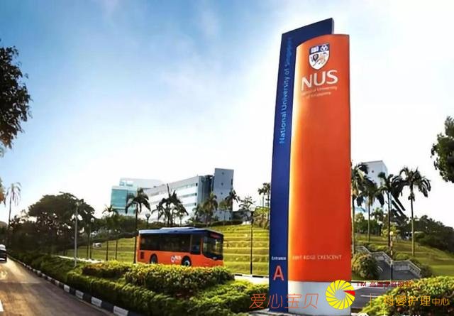 ��������ѧ��ѡ�¼��£����׶���ѧ�ɻ������