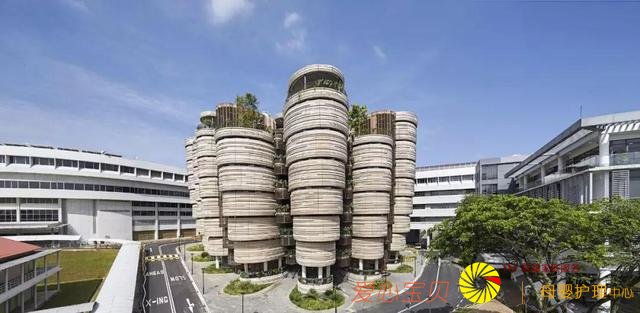 ��������ѧ��ѡ�¼��£����׶���ѧ�ɻ������