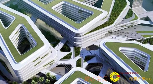 ��������ѧ��ѡ�¼��£����׶���ѧ�ɻ������