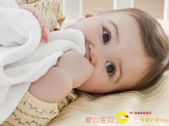 ���䱦��С�����ġ��������ô�죿����ɩ���н����ƻ����