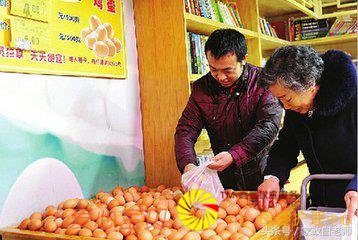 ������ķ��ѵ�������ѡ����