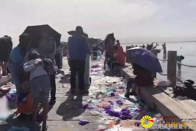 �й�����99������Ŀ�ĵأ��ຣ����5�����㶼ȥ����