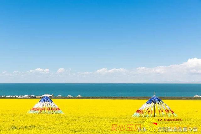 �й�����99������Ŀ�ĵأ��ຣ����5�����㶼ȥ����