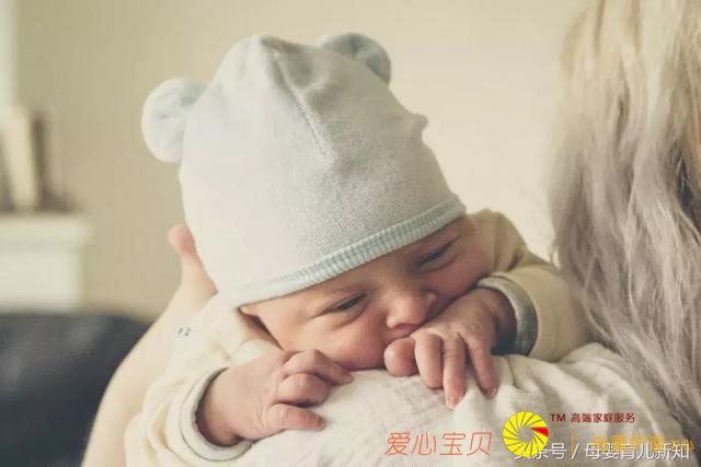 ����Ƥ������Ҫ���ӣ�4�����Ԥ����������