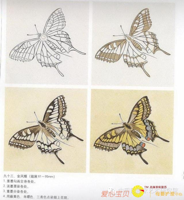 ������Ӱ�����ٳ漼��ͼ�ס��汾���